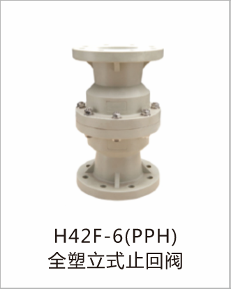 H42F-6(PPH)全塑立式止回阀