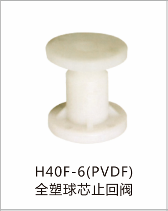 H40F-6(PVDF)全塑球芯止回阀